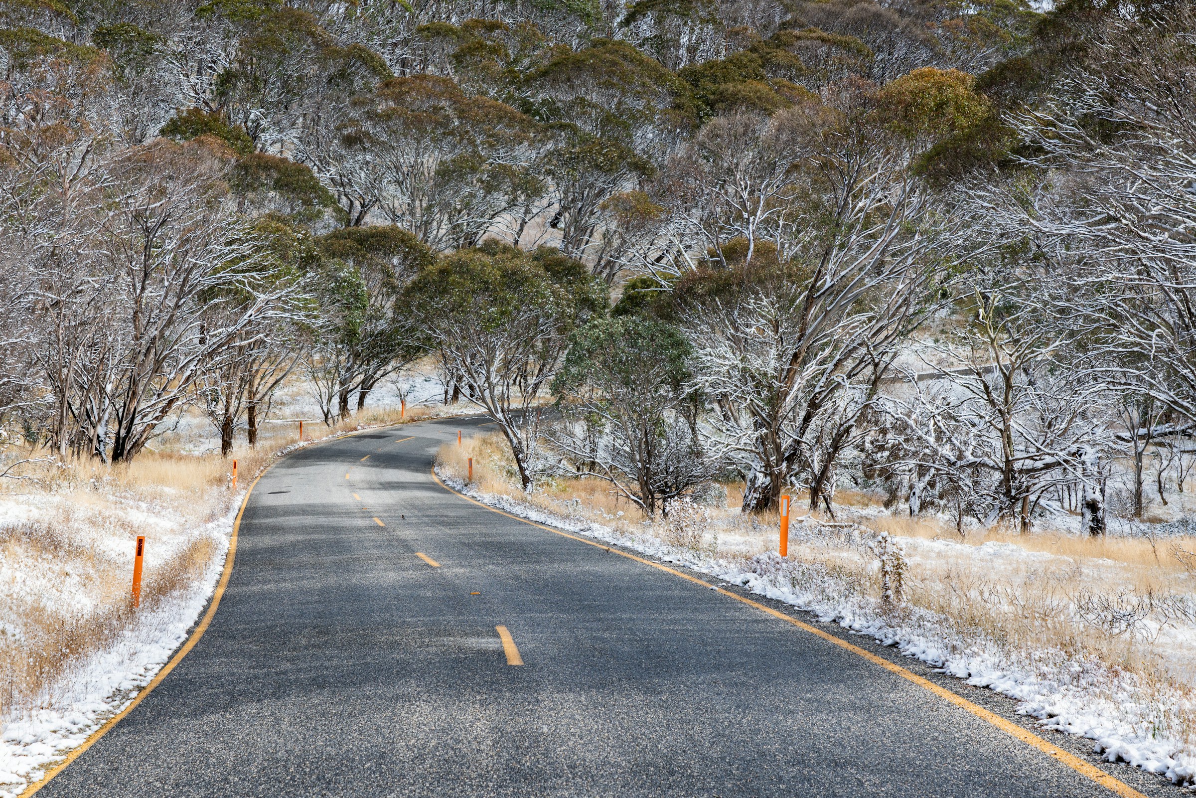 Great Alpine Road Road to Mount Hotham along Great Alpine Road