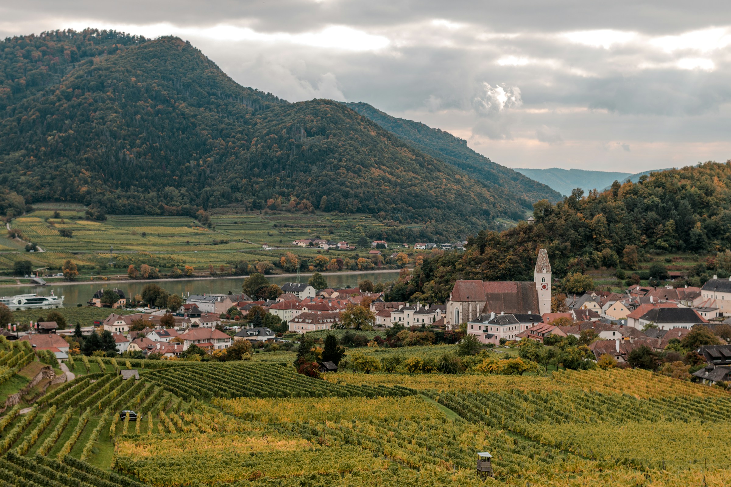 Wachau Valley golden vineyards beside Danube River in Wachau Valley
