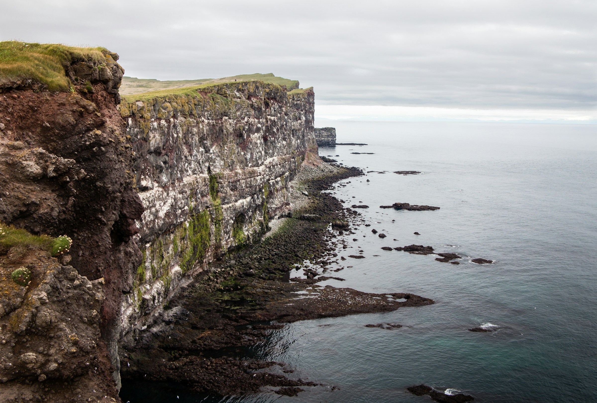 The Westfjords Látrabjarg in The Westfjords