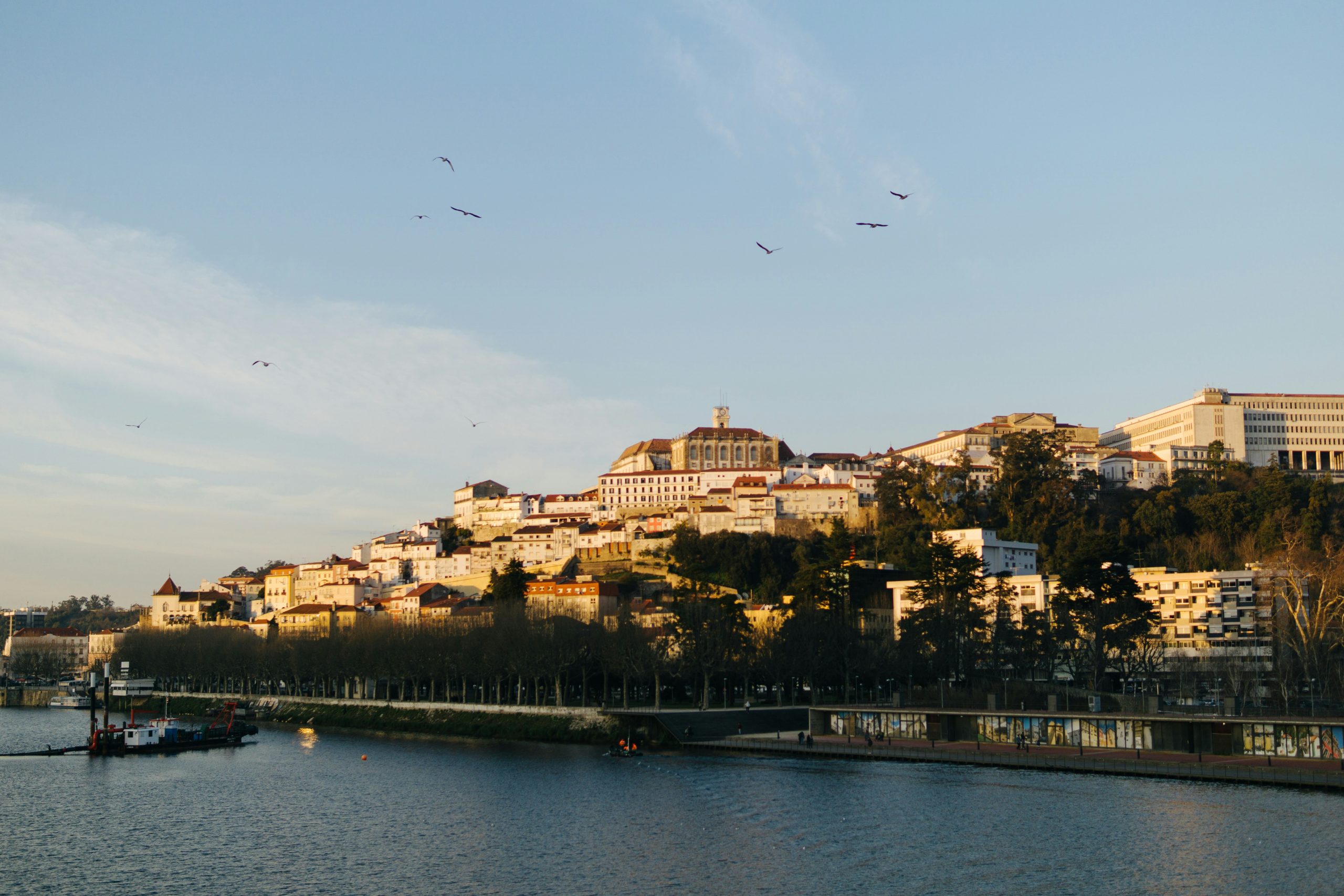 Coimbra cityscape of Coimbra