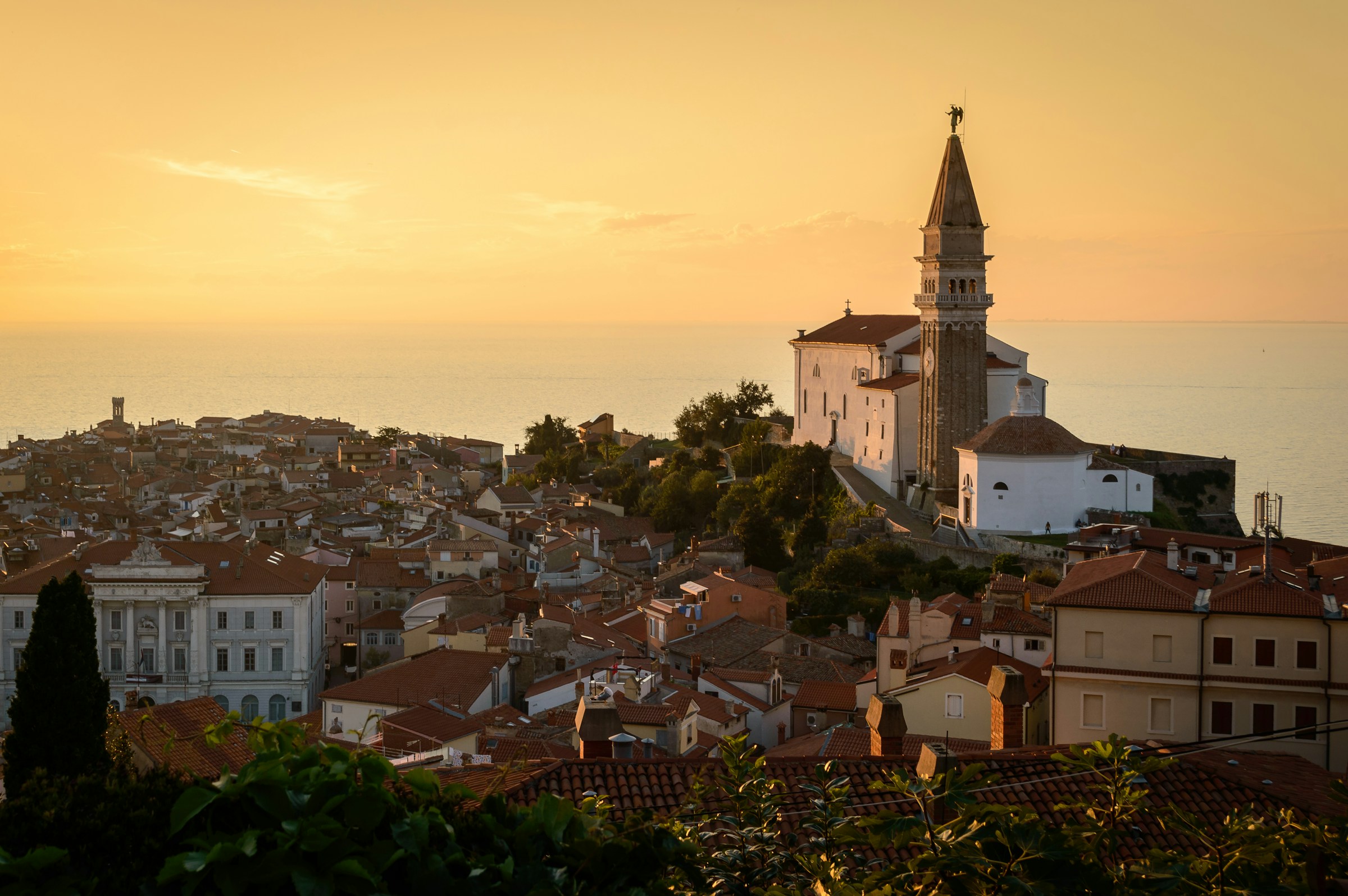Piran Church of St. George and Piran rooftops