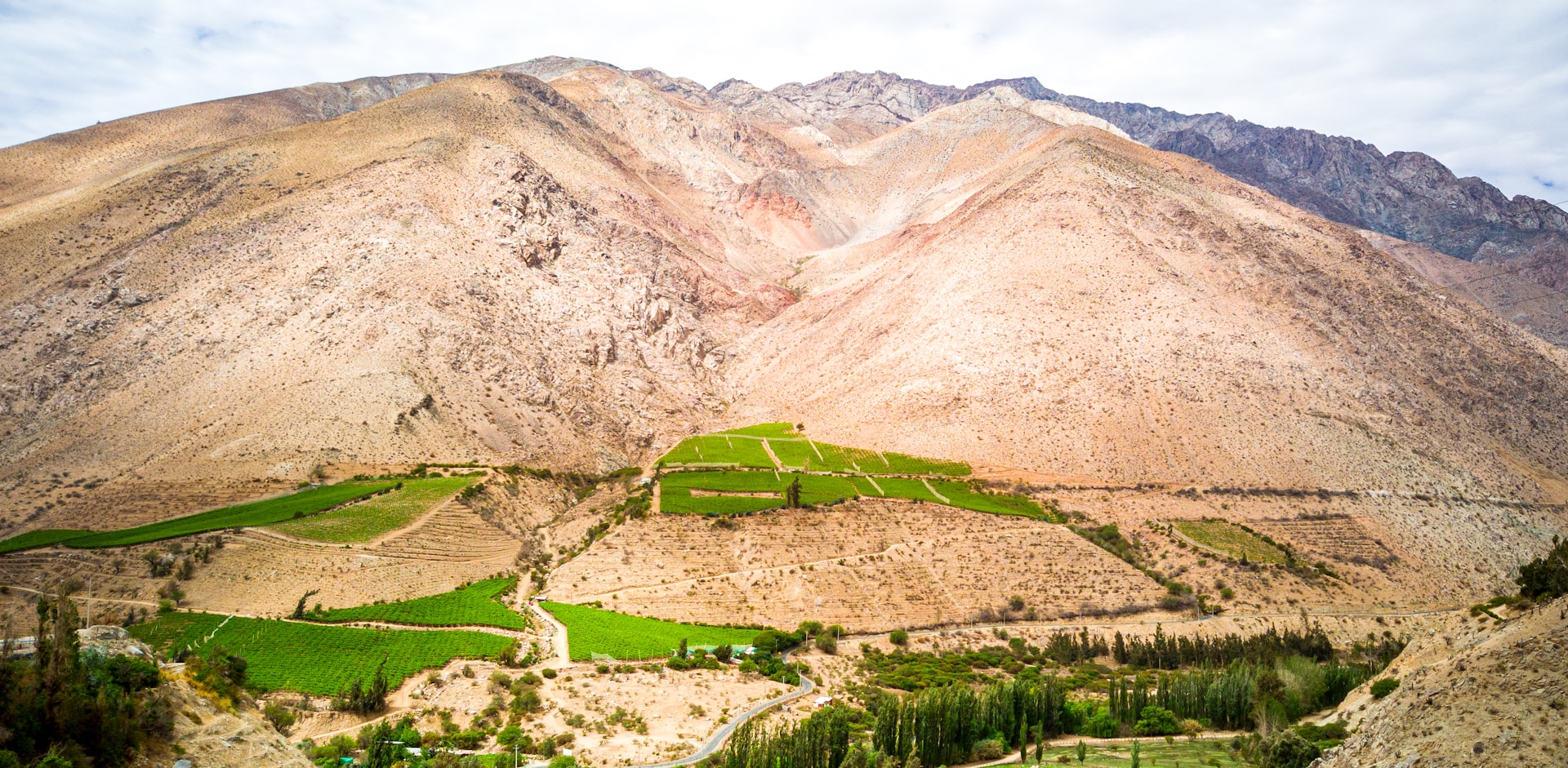 Valle de Elqui Pisco Elqui vineyards and surrounding mountains in Valle de Elqui