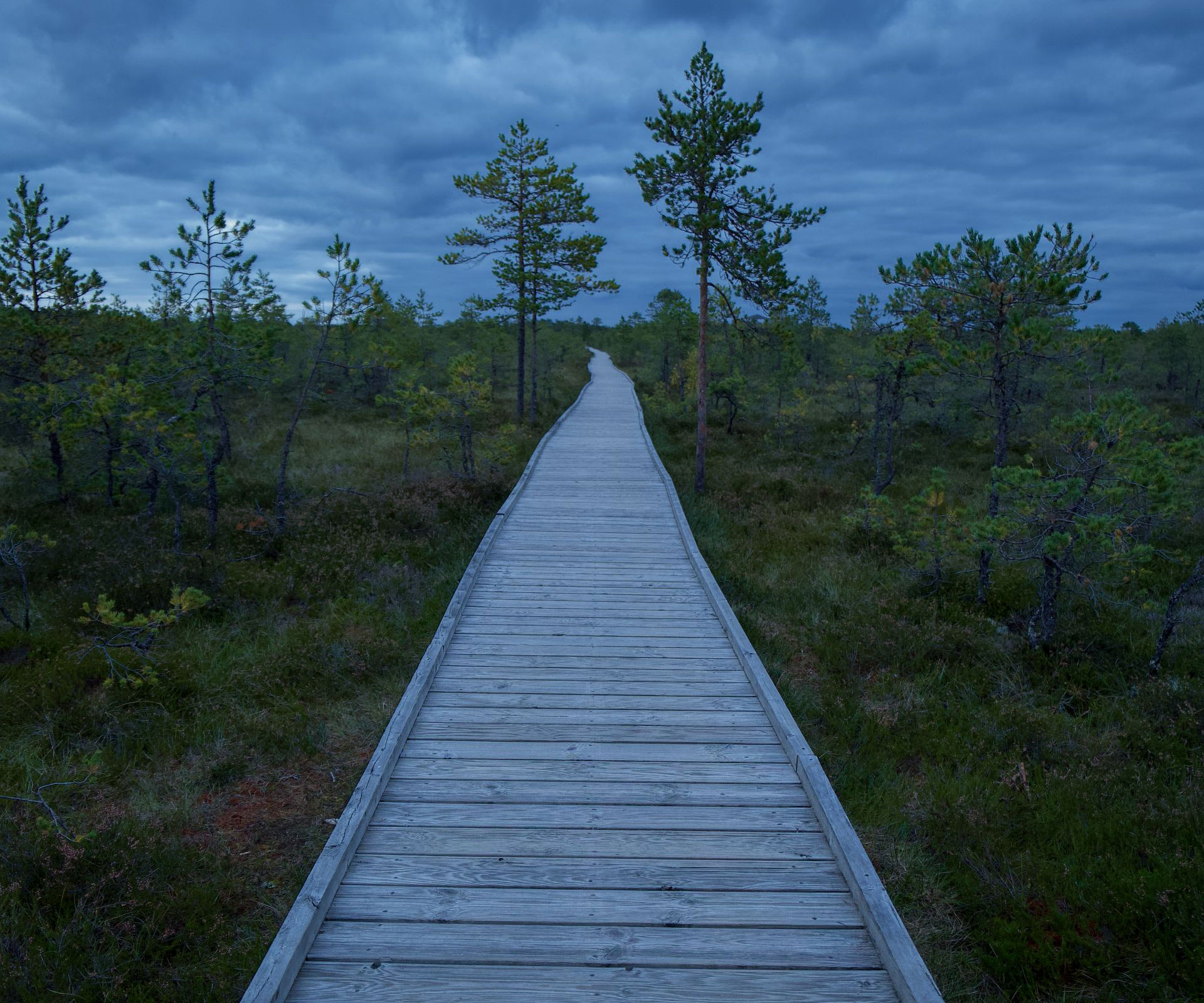 Lahemaa National Park Viru Bog boardwalk in Lahemaa National Park