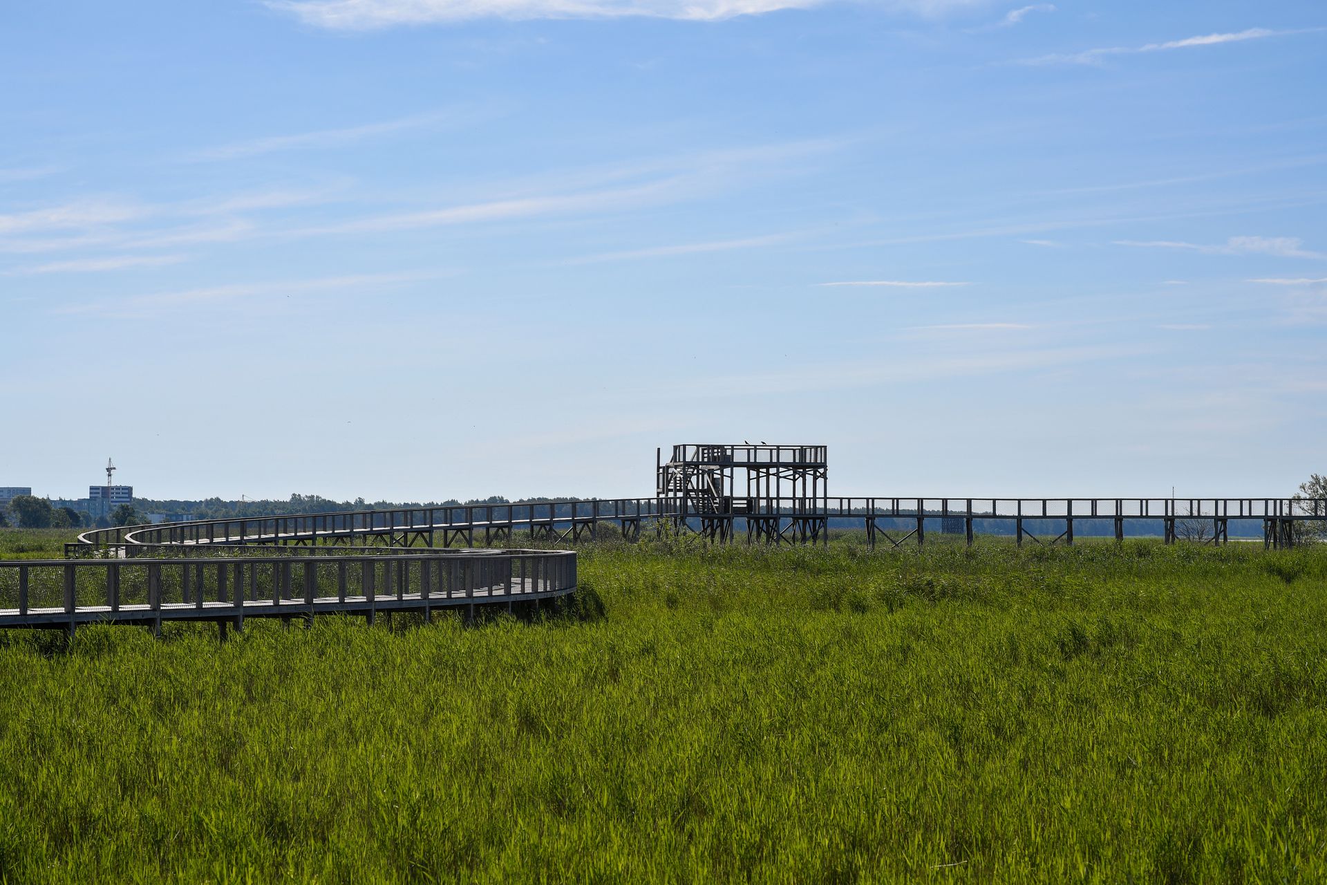 Pärnu Wooden coastal boardwalk through Pärnu's meadows
