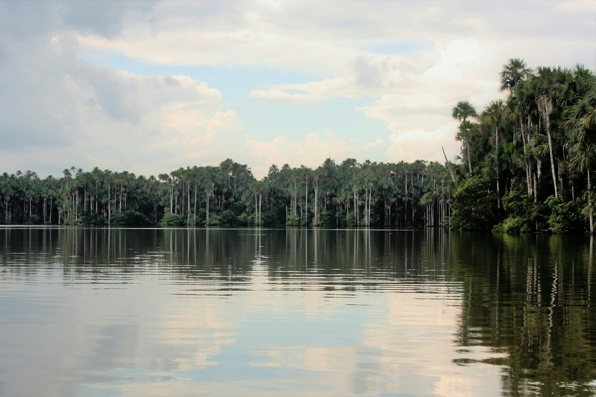 Lago Sandoval / Tambopata rainforest in The Peruvian Amazon