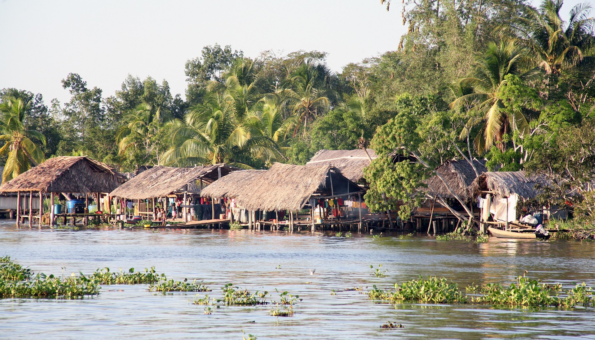 Orinoco River and riverside hut near Pedernales