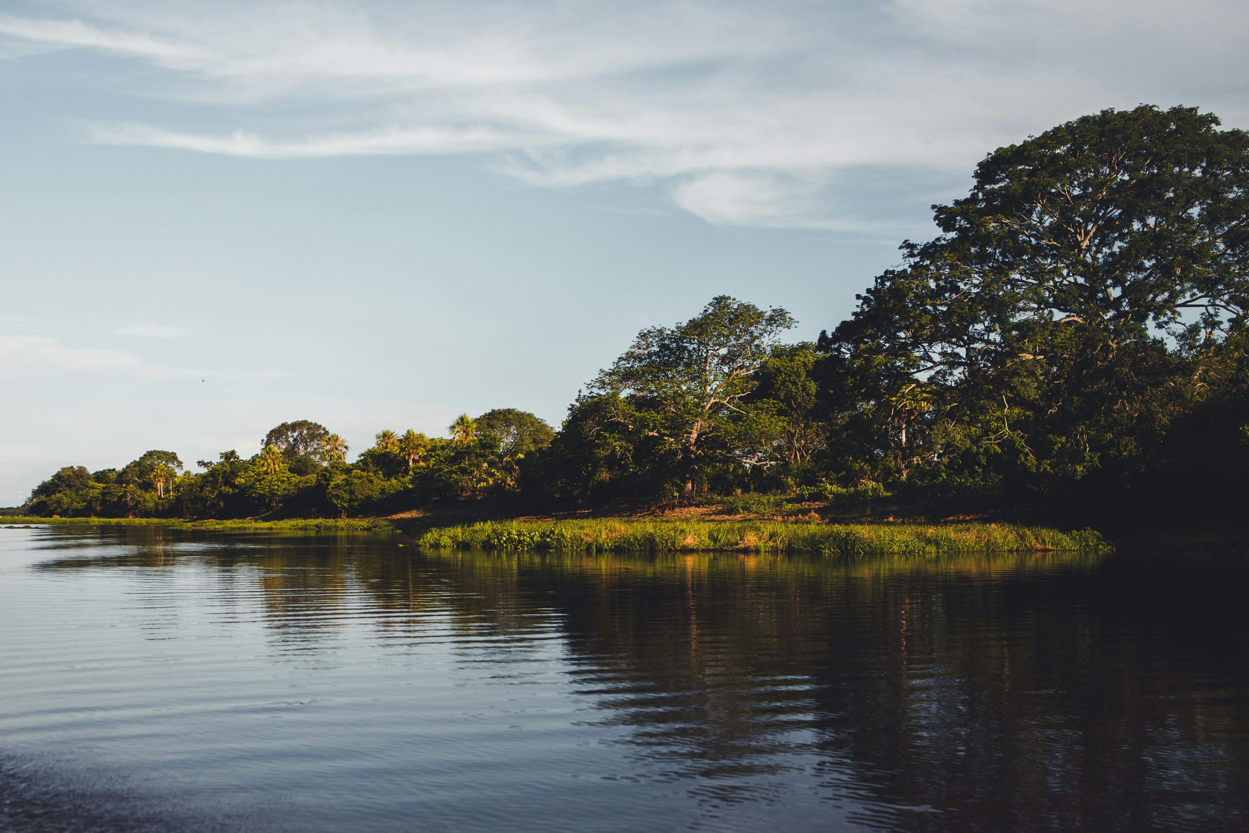 pantanal view