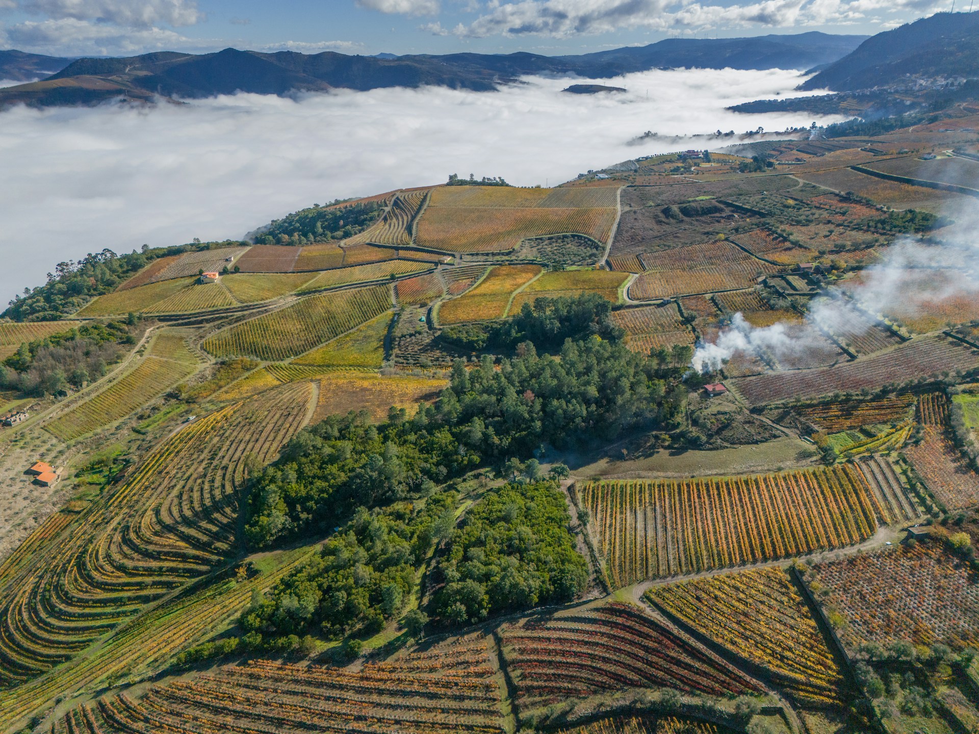 Valley, Portugal	Terraced Douro vineyards in autumn