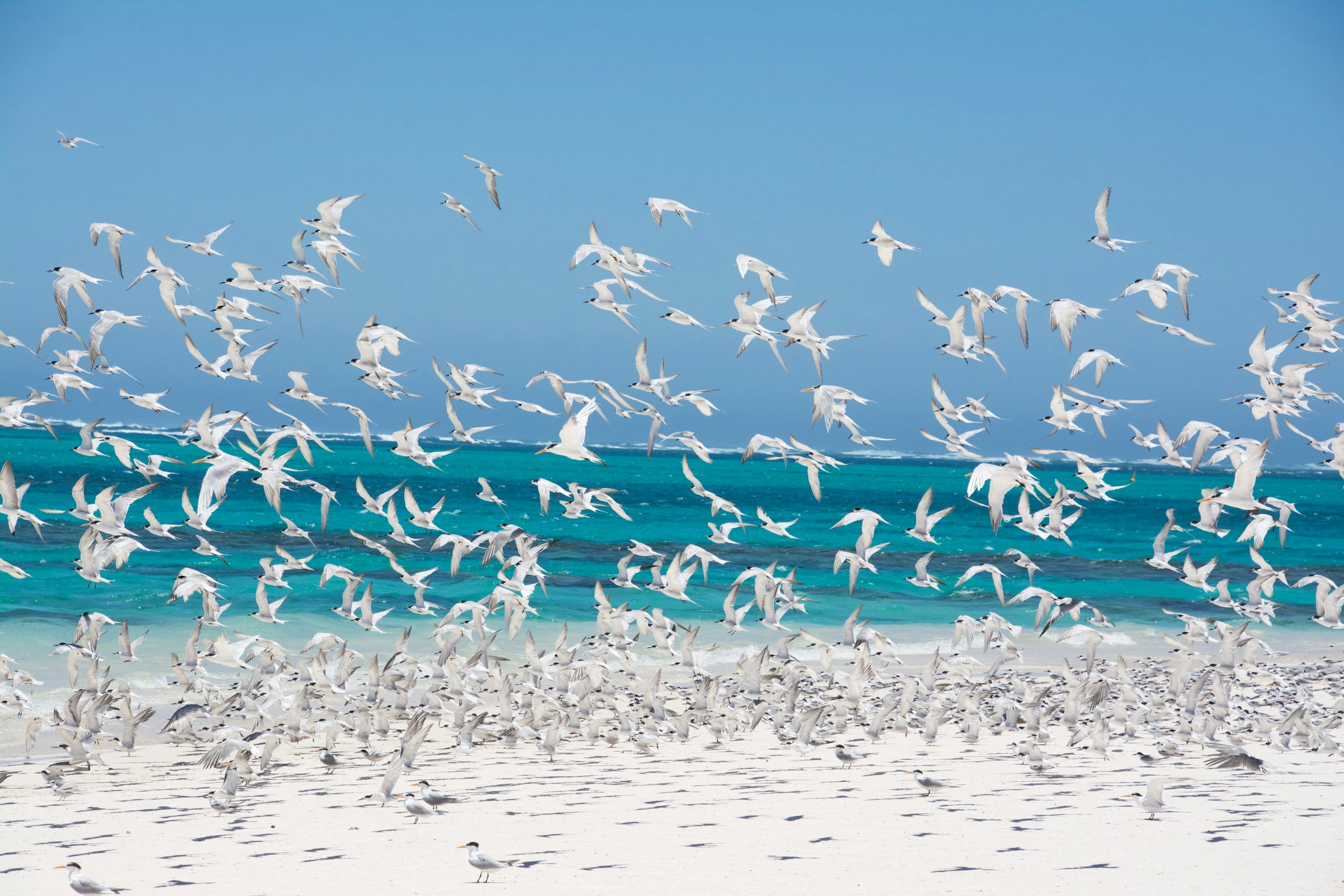 Cape Range National Park in Turquoise Bay