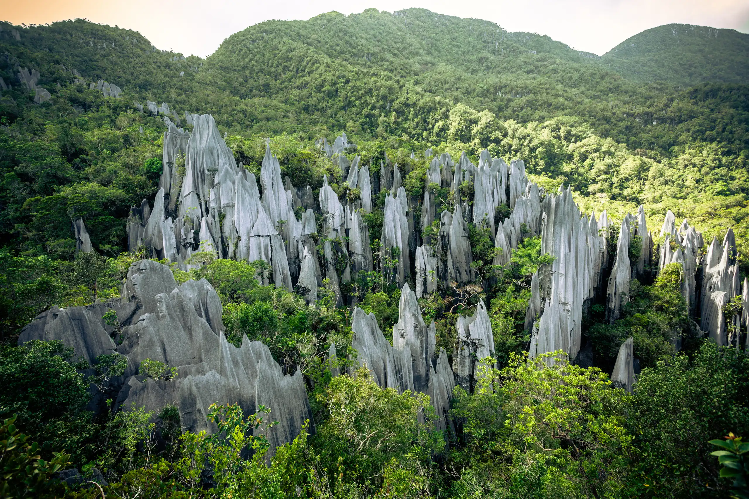 Gunung mulu pinnacles