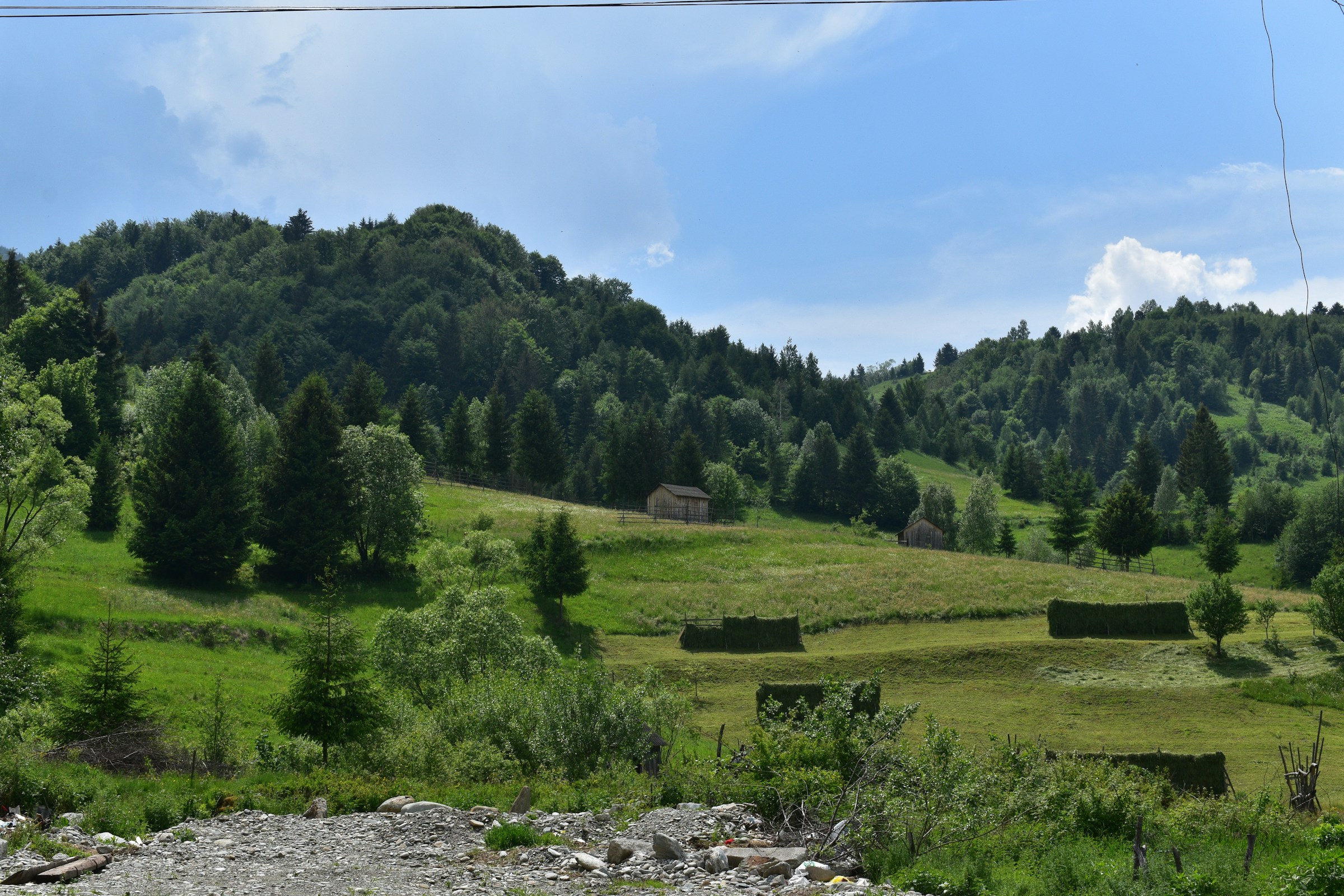 Traditional village in Maramureș