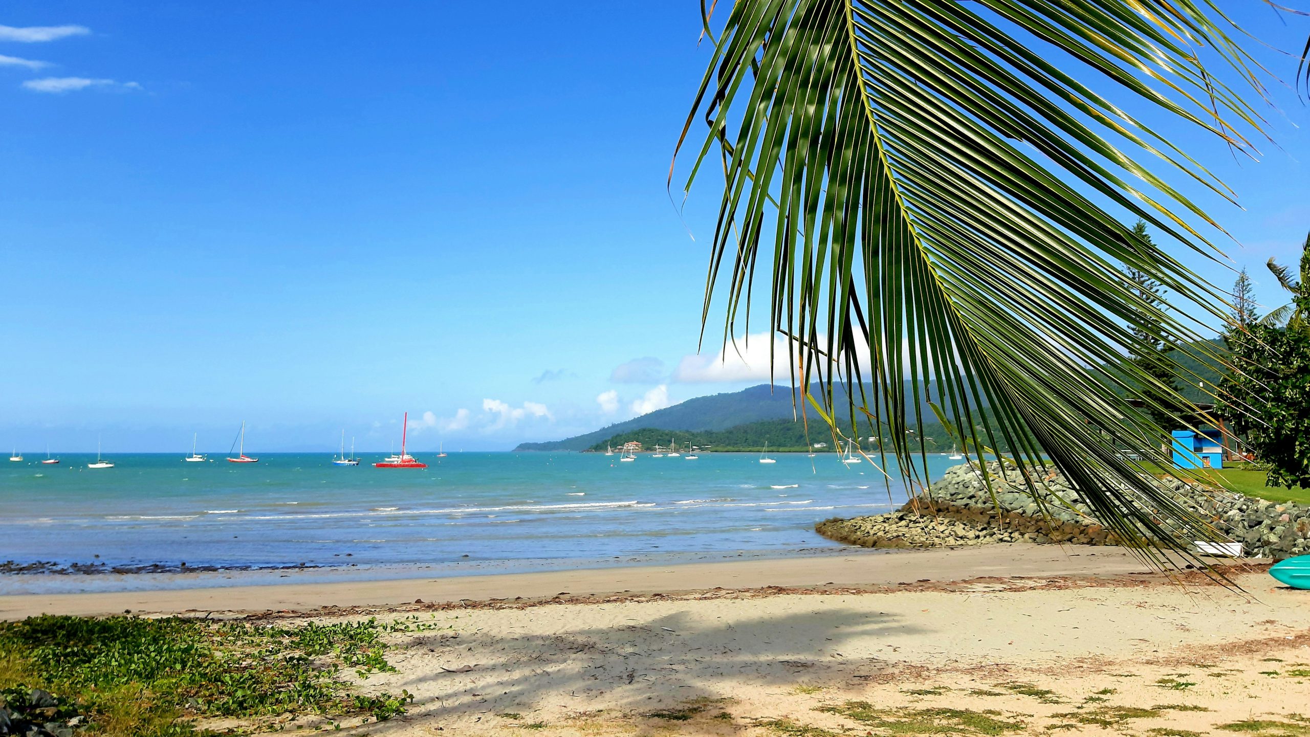 Tropical beach at Airlie