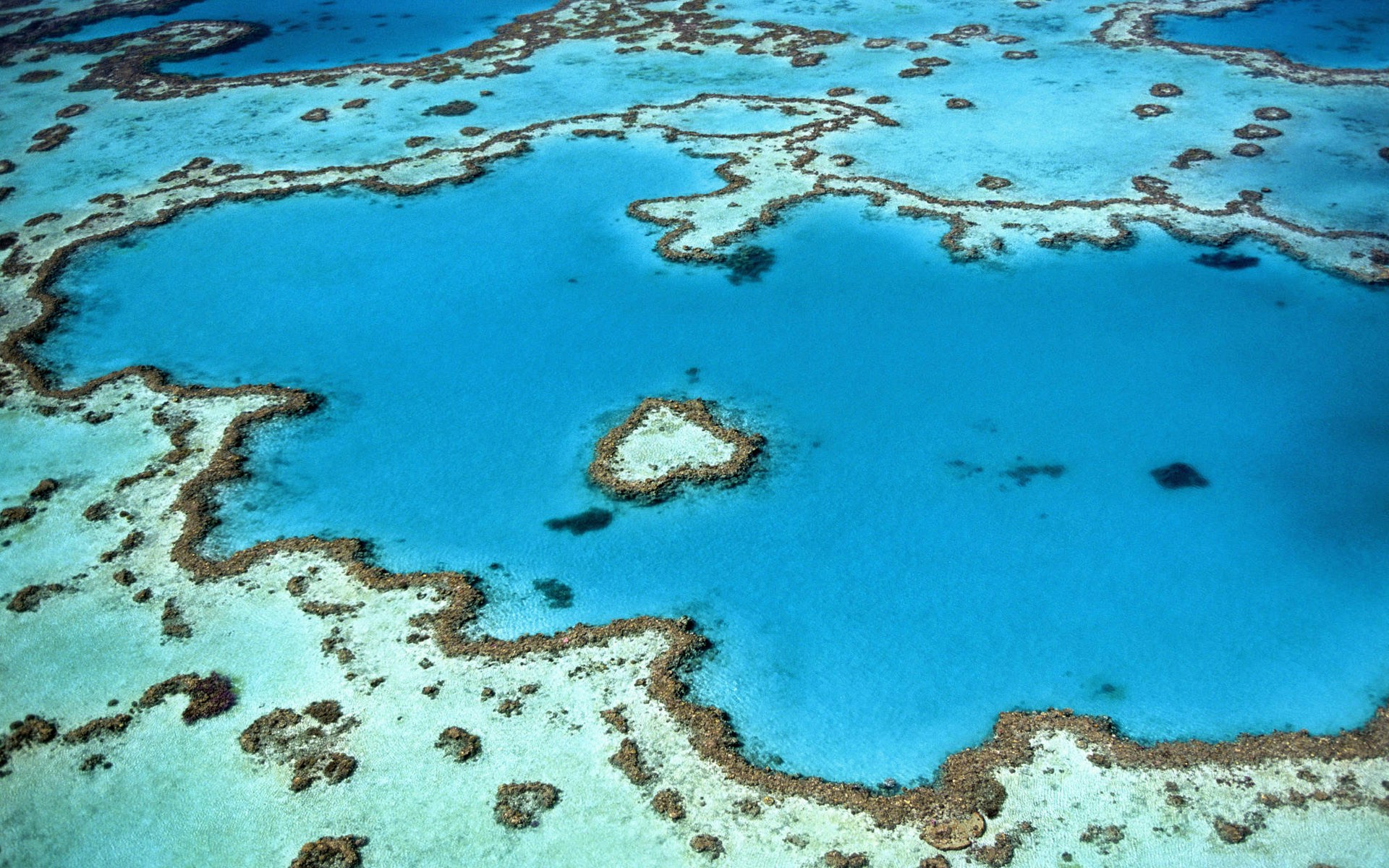 Aerial photo of the Coral reef