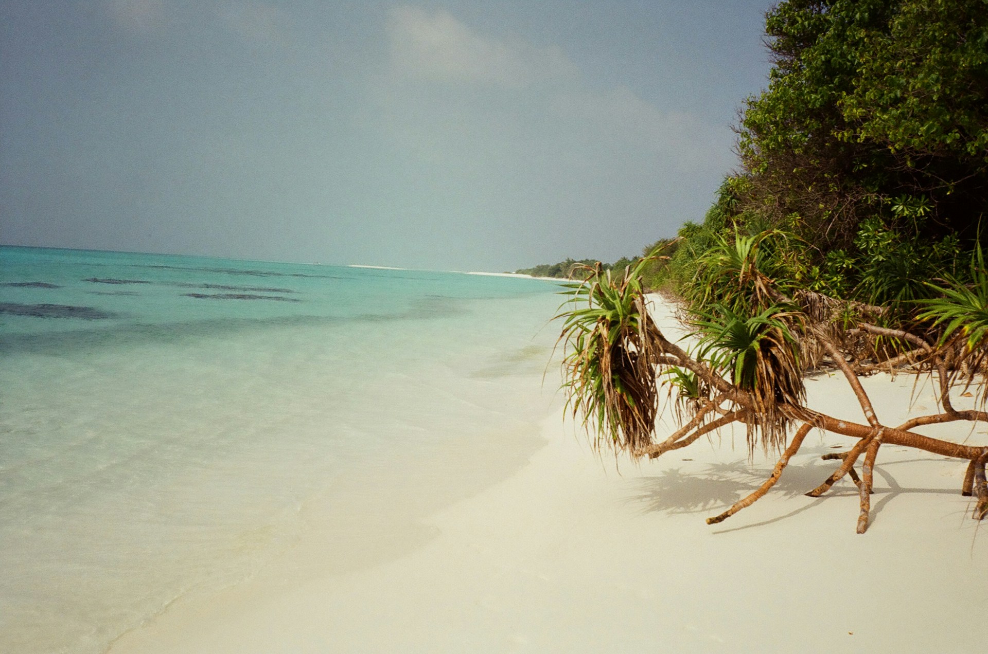 Fulhadhoo Beach, Maldives